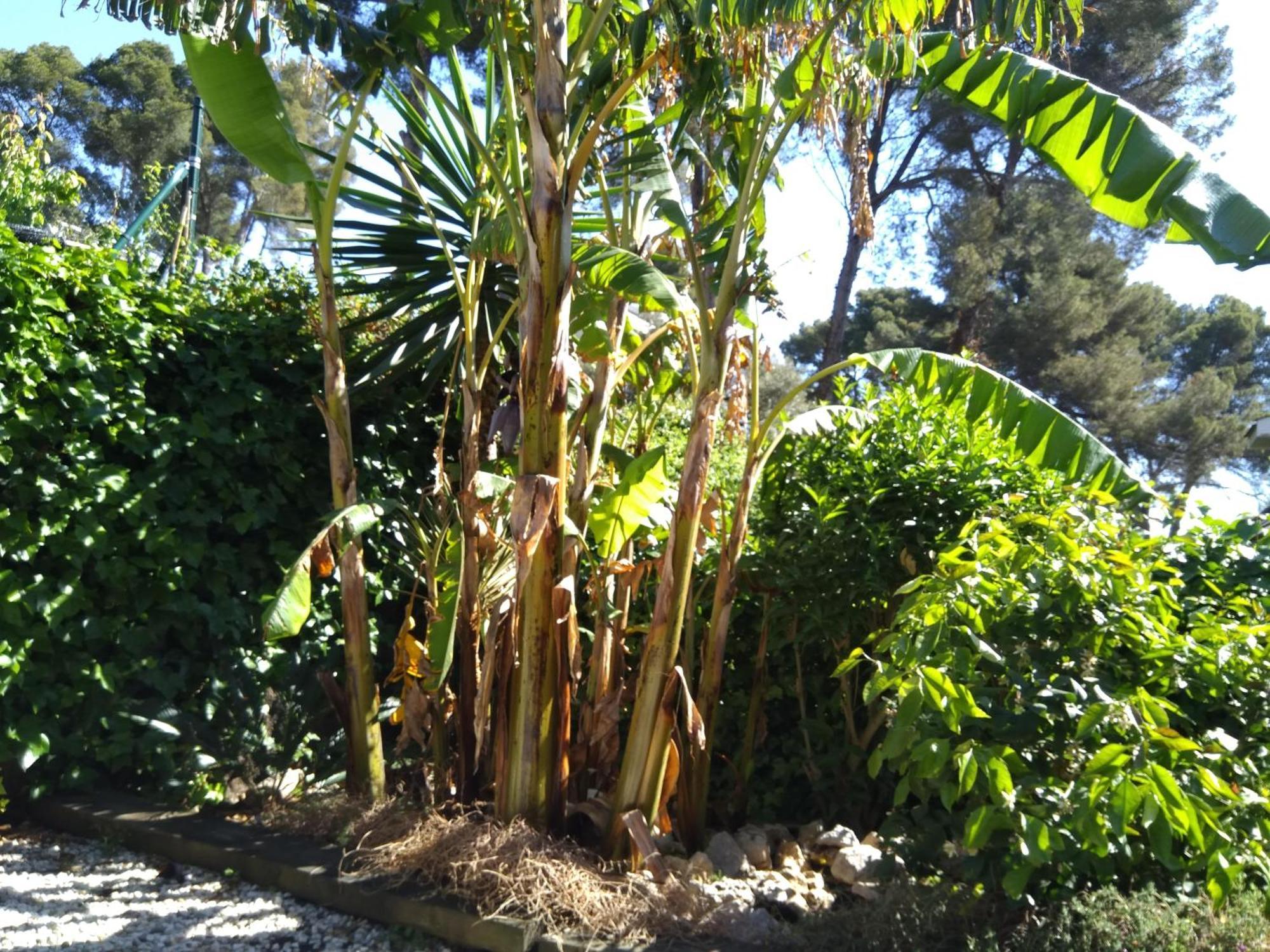 Villa Del Bosque Castelldefels Buitenkant foto